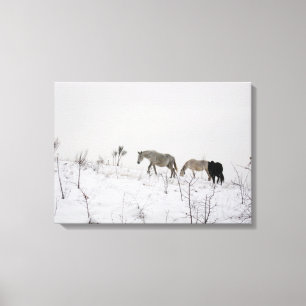 Wilde paarden in sneeuw canvas afdruk