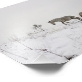 Wilde paarden in Sneeuw Kodak Professional Foto Afdruk (Hoek)