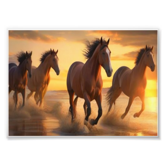 Wilde Paarden in Sunset Splendor Foto Afdruk (Voorkant)