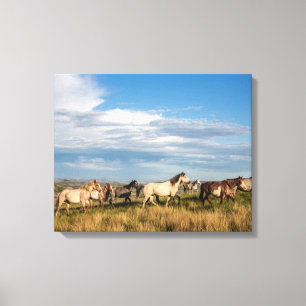 Wilde paarden in Theodore Roosevelt National Park Canvas Afdruk