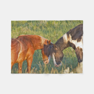 Wilde paarden in Theodore Roosevelt National Park Fleece Deken