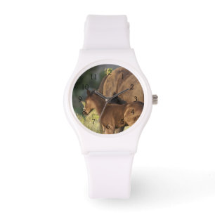 Wilde paarden in Theodore Roosevelt National Park Horloge