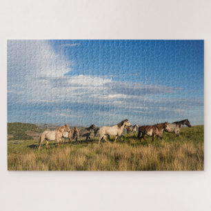 Wilde paarden in Theodore Roosevelt National Park Legpuzzel