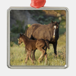Wilde paarden in Theodore Roosevelt National Park Metalen Ornament