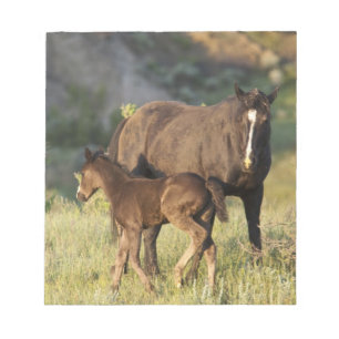 Wilde paarden in Theodore Roosevelt National Park Notitieblok