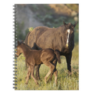 Wilde paarden in Theodore Roosevelt National Park Notitieboek