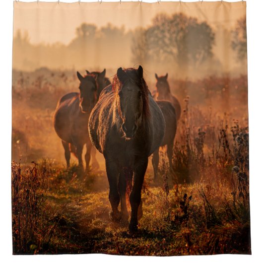 Wilde paarden: intense blik ontmoeting douchegordijn (Voorkant)