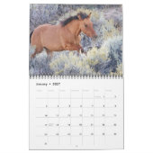 Wilde paarden, kalender (Jan 2027)