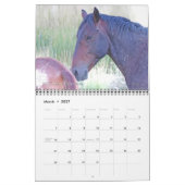 Wilde paarden, kalender (Mar 2027)