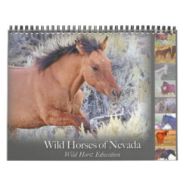 Wilde paarden, kalender