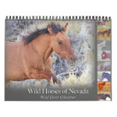 Wilde paarden, kalender (Hoes)