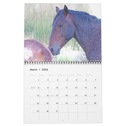 Wilde paarden, kalender (Mar 2026)