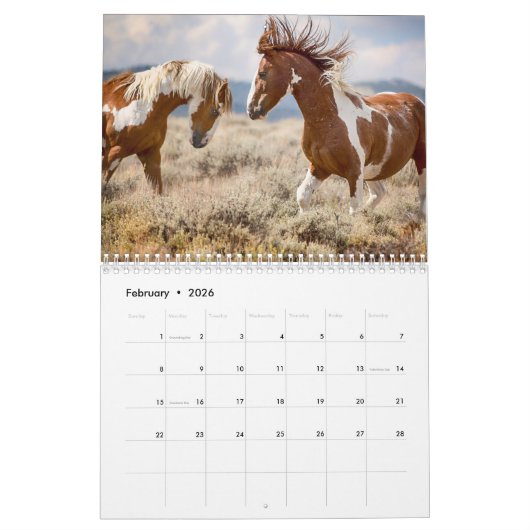 Wilde paarden kalender (Feb 2026)