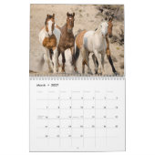Wilde paarden kalender (Mar 2027)