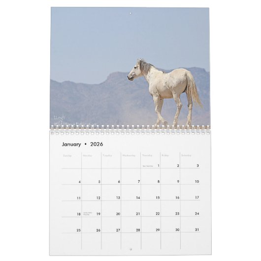 Wilde paarden (kalender) kalender (Jan 2026)