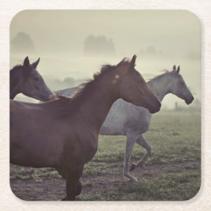 Wilde paarden kartonnen onderzetters