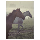 Wilde paarden klembord (Achterkant)