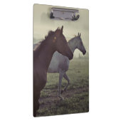 Wilde paarden klembord (Rechts)