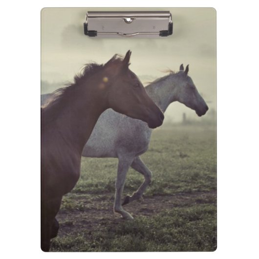 Wilde paarden klembord (Voorkant)