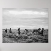 Wilde Paarden Landschap Poster (Voorkant)