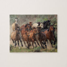 Wilde paarden