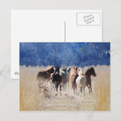 Wilde paarden lopen briefkaart (Voorkant / Achterkant)