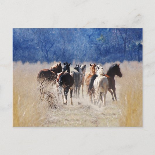Wilde paarden lopen briefkaart (Voorkant)