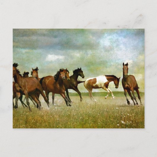 Wilde paarden lopen -  creatieve kunst briefkaart (Voorkant)