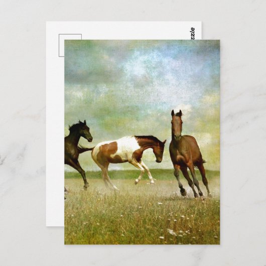 Wilde paarden lopen - creatieve kunst briefkaart (Voorkant / Achterkant)