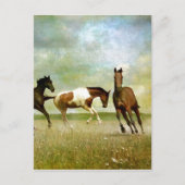 Wilde paarden lopen - creatieve kunst briefkaart (Voorkant)