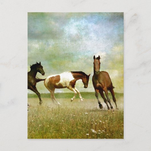 Wilde paarden lopen -  creatieve kunst briefkaart (Voorkant)