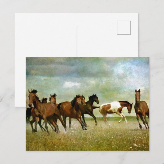 Wilde paarden lopen -  creatieve kunst briefkaart (Voorkant / Achterkant)