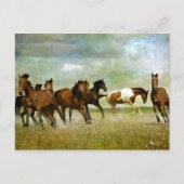 Wilde paarden lopen -  creatieve kunst briefkaart (Voorkant)