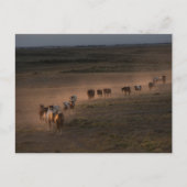 Wilde paarden lopen naar de woestijn briefkaart (Voorkant)