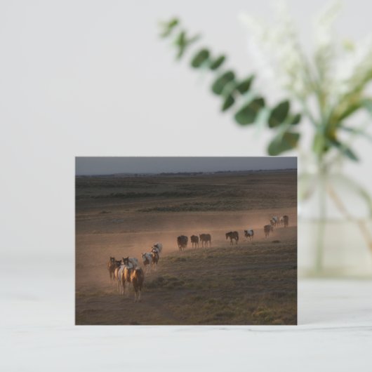 Wilde paarden lopen naar de woestijn briefkaart (Staand voorkant)