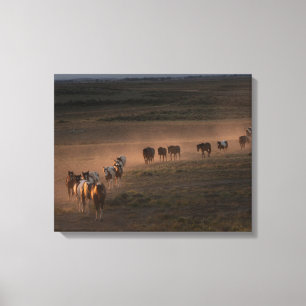 Wilde paarden lopen naar de woestijn canvas afdruk
