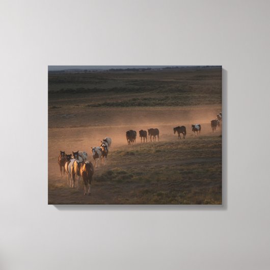Wilde paarden lopen naar woestijn canvas afdruk (Voorkant)
