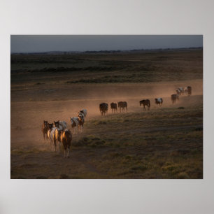 Wilde paarden lopen naar woestijn poster