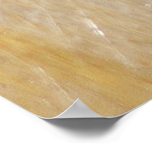 Wilde paarden lopen poster (Hoek)