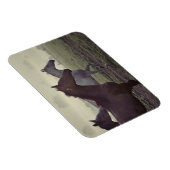 Wilde paarden magneet (Rechterzijde)