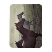 Wilde paarden magneet (Verticaal)
