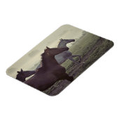 Wilde paarden magneet (Linkerzijde)