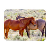 Wilde paarden magneet (Horizontaal)