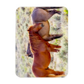 Wilde paarden magneet (Verticaal)