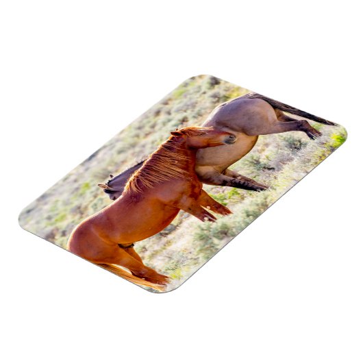 Wilde paarden magneet (Linkerzijde)