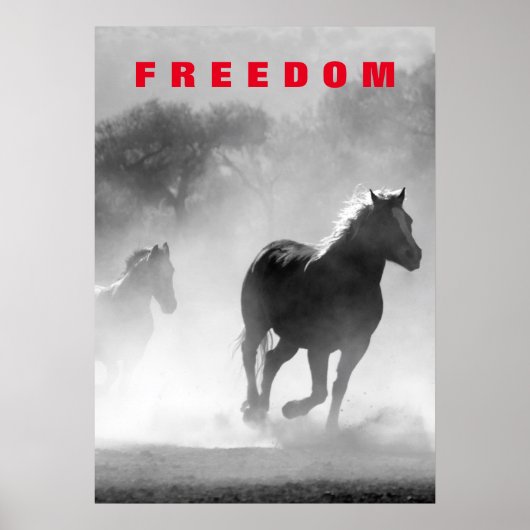 Wilde paarden Motivatie Freedom Artwork Poster (Voorkant)