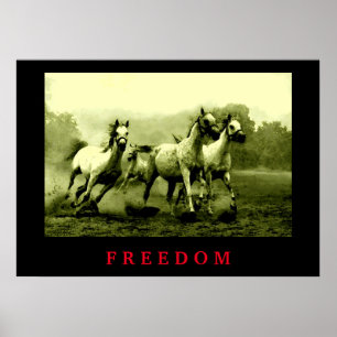 Wilde paarden Motivatie Freedom Artwork Poster