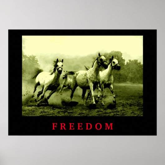 Wilde paarden Motivatie Freedom Artwork Poster (Voorkant)