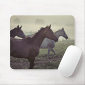 Wilde paarden muismat (Met muis)