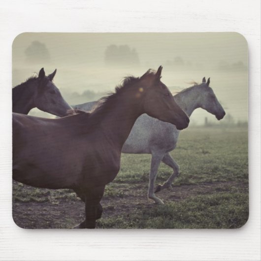 Wilde paarden muismat (Voorkant)